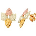 Earrings - by Landstrom's